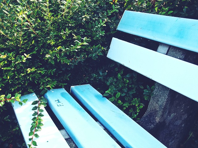 著的优势 著的优势