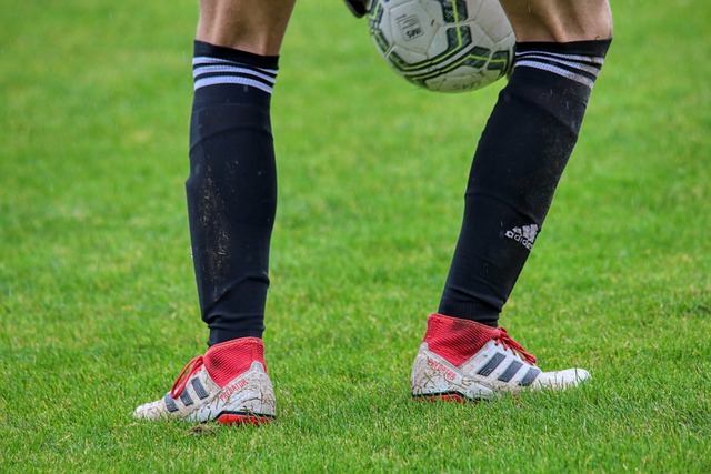 捷报频传 捷报频传