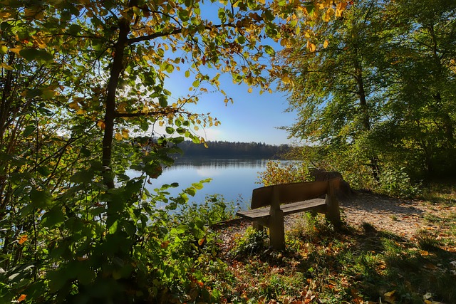 篮球运动员 篮球运动员