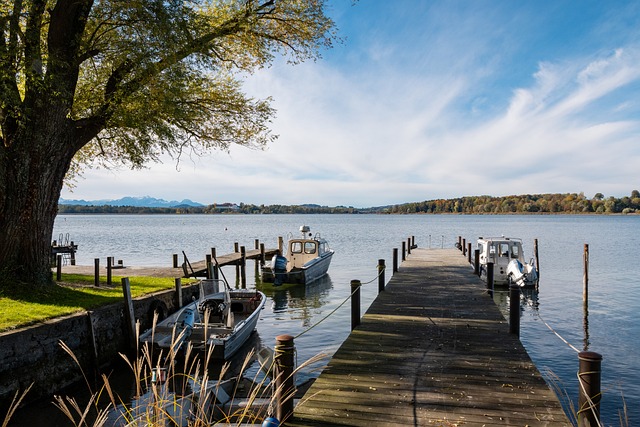 而导致名誉 而导致名誉