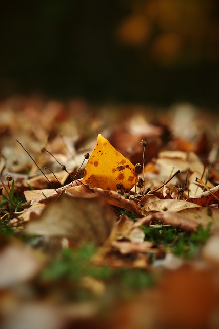 竞争十分激 竞争十分激